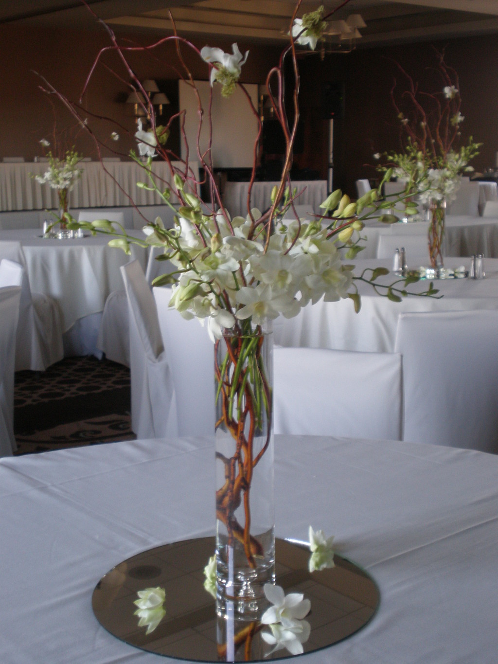 White dendrobium orchid centerpiece